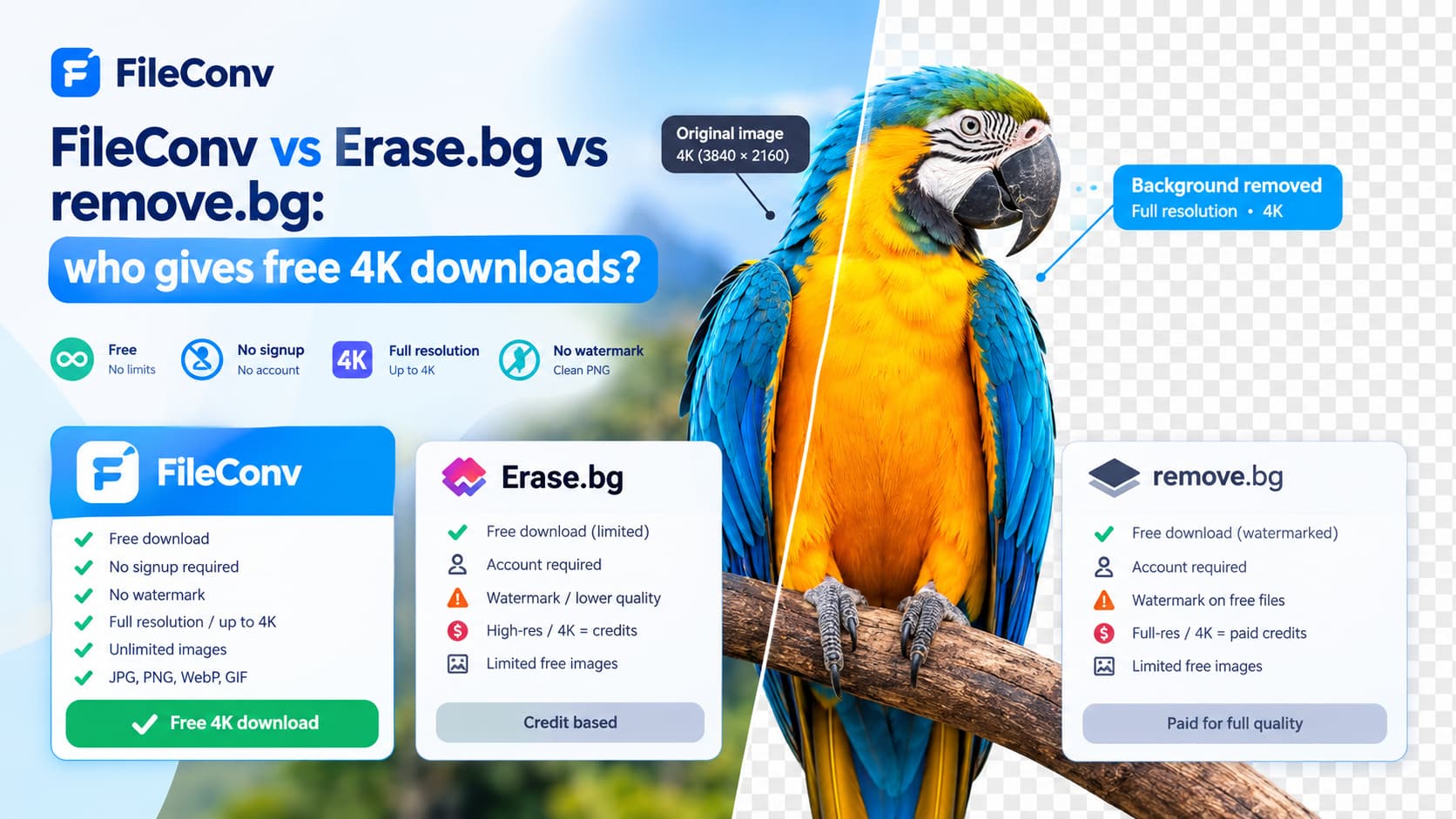 FileConv vs Erase.bg vs remove.bg: who gives free 4K downloads?