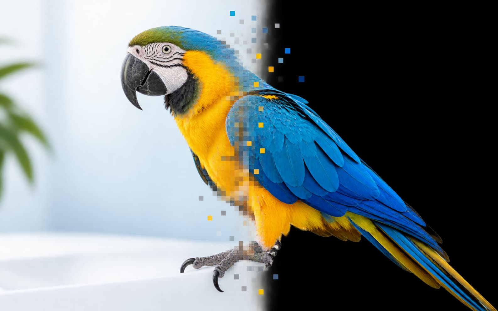 JPG vs PNG: Which Image Format Should You Use?